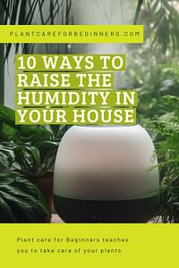 10 ways to raise the humidity in your house