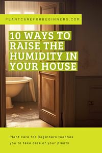 10 ways to raise the humidity in your house