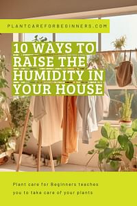 10 ways to raise the humidity in your house