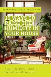 10 ways to raise the humidity in your house