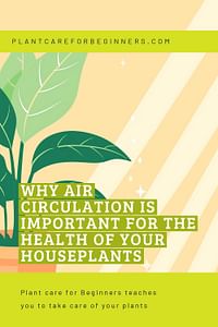 Why Air Circulation is Important for the Health of Your Houseplants