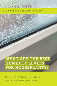 What are the best humidity levels for houseplants?
