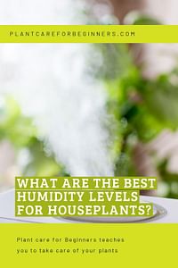 What are the best humidity levels for houseplants?