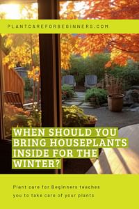 When should you bring houseplants inside for the winter?