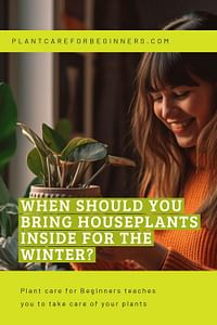 When should you bring houseplants inside for the winter?