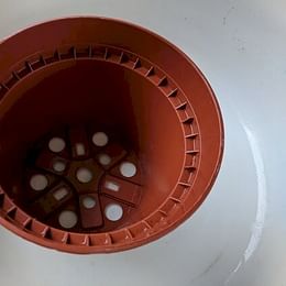 Nursery pot