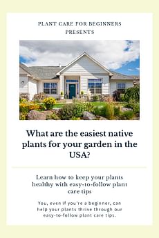 What are the easiest native plants for your garden in the USA?