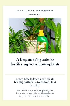 A beginner's guide to fertilizing your houseplants