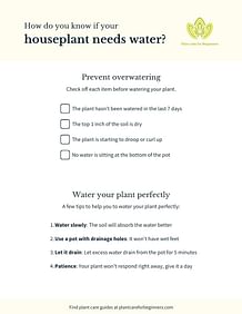 Checklist: How do you know if your houseplant needs water?