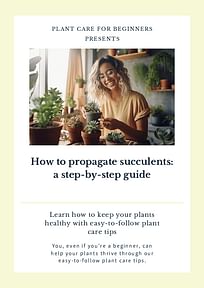 How to propagate succulents: a step-by-step guide