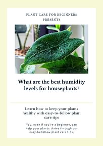 What are the best humidity levels for houseplants?