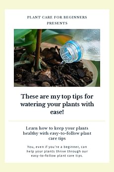 These are my top tips for watering your plants with ease!