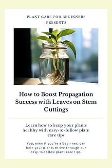 How to Boost Propagation Success with Leaves on Stem Cuttings