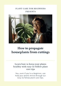 How to propagate houseplants from cuttings