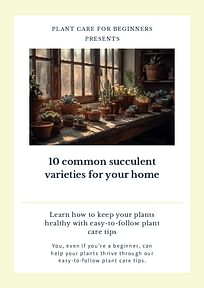 10 common succulent varieties for your home