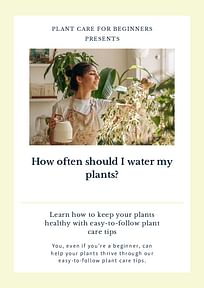 How often should I water my plants?