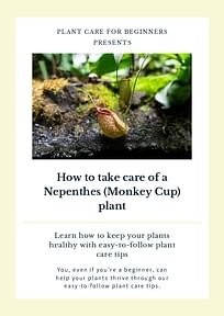 How to take care of a Nepenthes (Monkey Cup) plant
