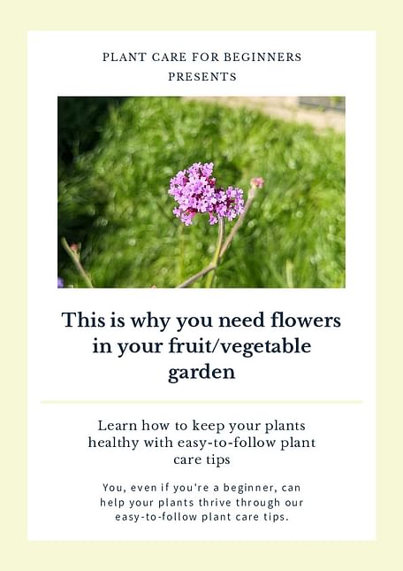 This is why you need flowers in your fruit/vegetable garden