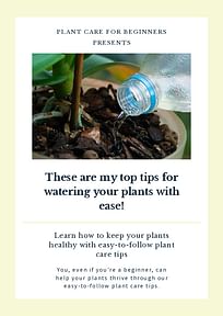 These are my top tips for watering your plants with ease!
