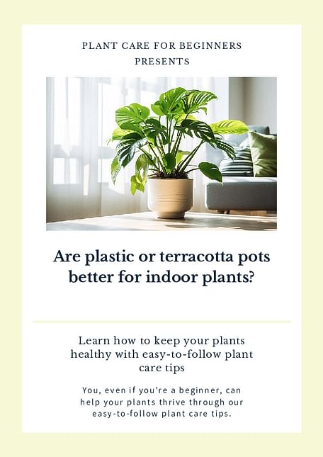 Are plastic or terracotta pots better for indoor plants?