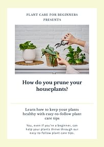How do you prune your houseplants?