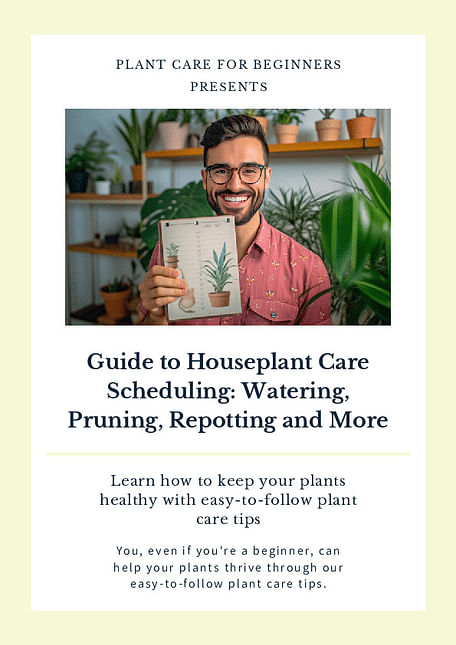 Guide to Houseplant Care Scheduling: Watering, Pruning, Repotting and More