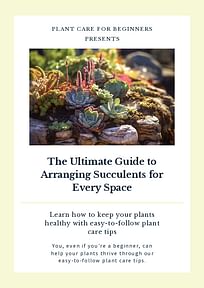 The Ultimate Guide to Arranging Succulents for Every Space