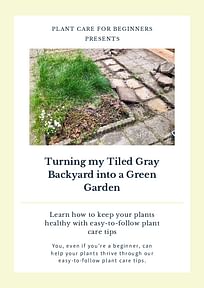 Turning my Tiled Gray Backyard into a Green Garden