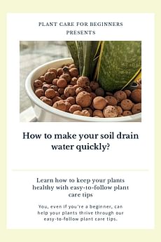 How to make your soil drain water quickly?