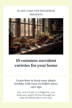 10 common succulent varieties for your home