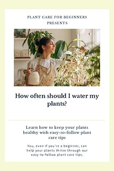 How often should I water my plants?