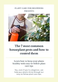 The 7 most common houseplant pests and how to control them
