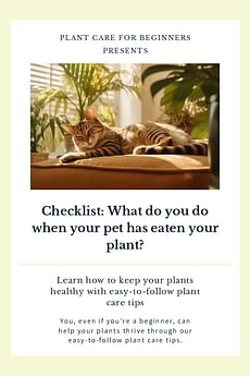 Checklist: What do you do when your pet has eaten your plant?