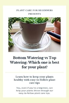 Bottom Watering vs Top Watering: Which one is best for your plant?