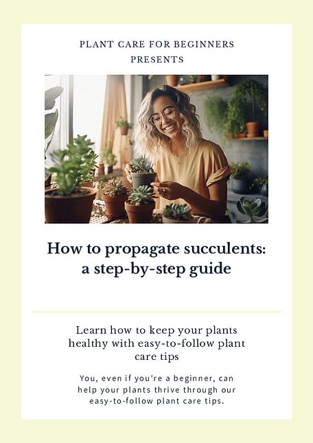 How to propagate succulents: a step-by-step guide
