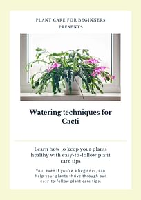 Watering techniques for Cacti