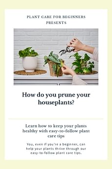 How do you prune your houseplants?