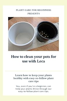How to clean your pots for use with Leca