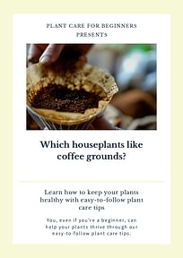 Which houseplants like coffee grounds?