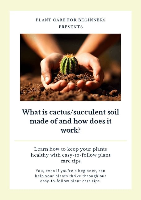 What is cactus/succulent soil made of and how does it work?