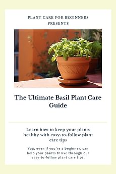The Ultimate Basil Plant Care Guide