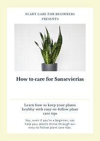 How to care for Sansevierias