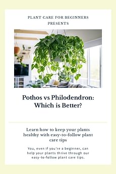Pothos vs Philodendron: Which is Better?