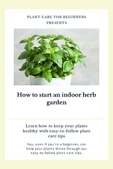 How to start an indoor herb garden