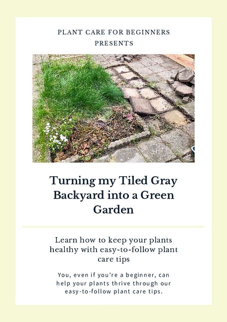 Turning my Tiled Gray Backyard into a Green Garden