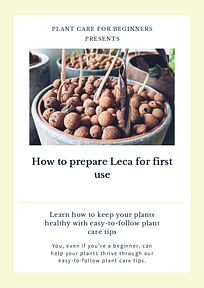 How to prepare Leca for first use