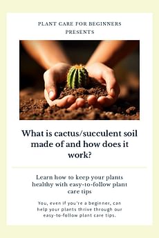What is cactus/succulent soil made of and how does it work?