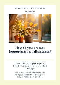 How do you prepare houseplants for fall/autumn?