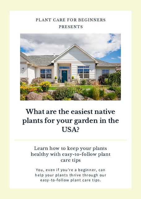 What are the easiest native plants for your garden in the USA?