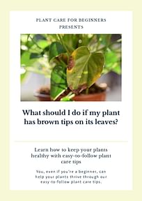 What should I do if my plant has brown tips on its leaves?
